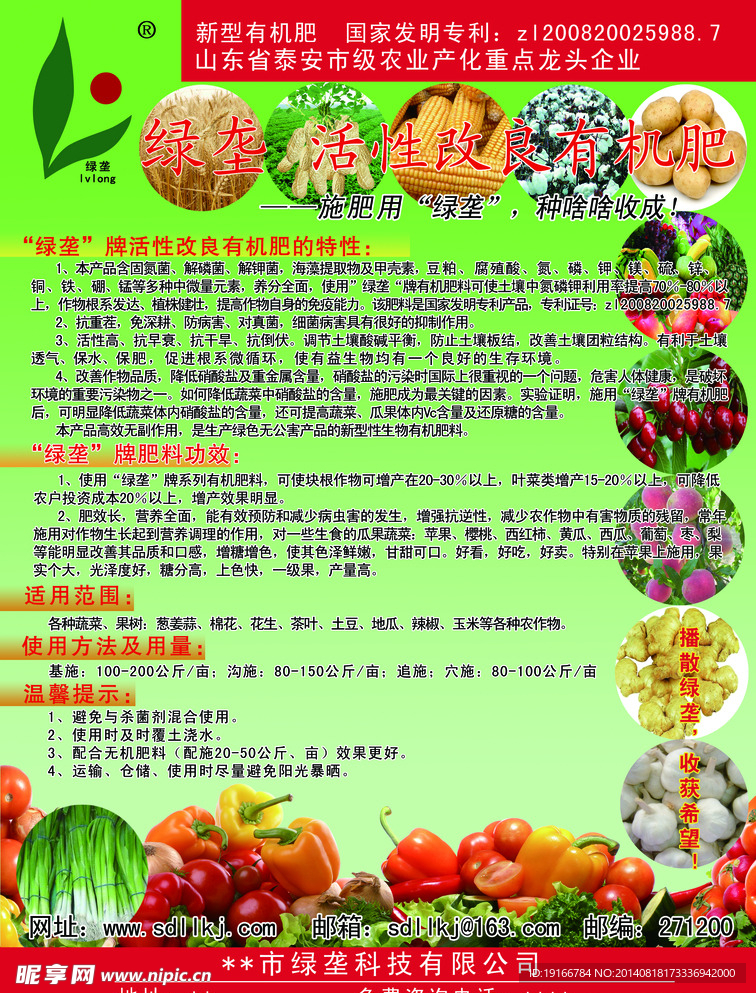 绿龚 绿龚单页