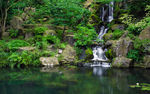 山间小溪