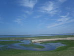 青海湖
