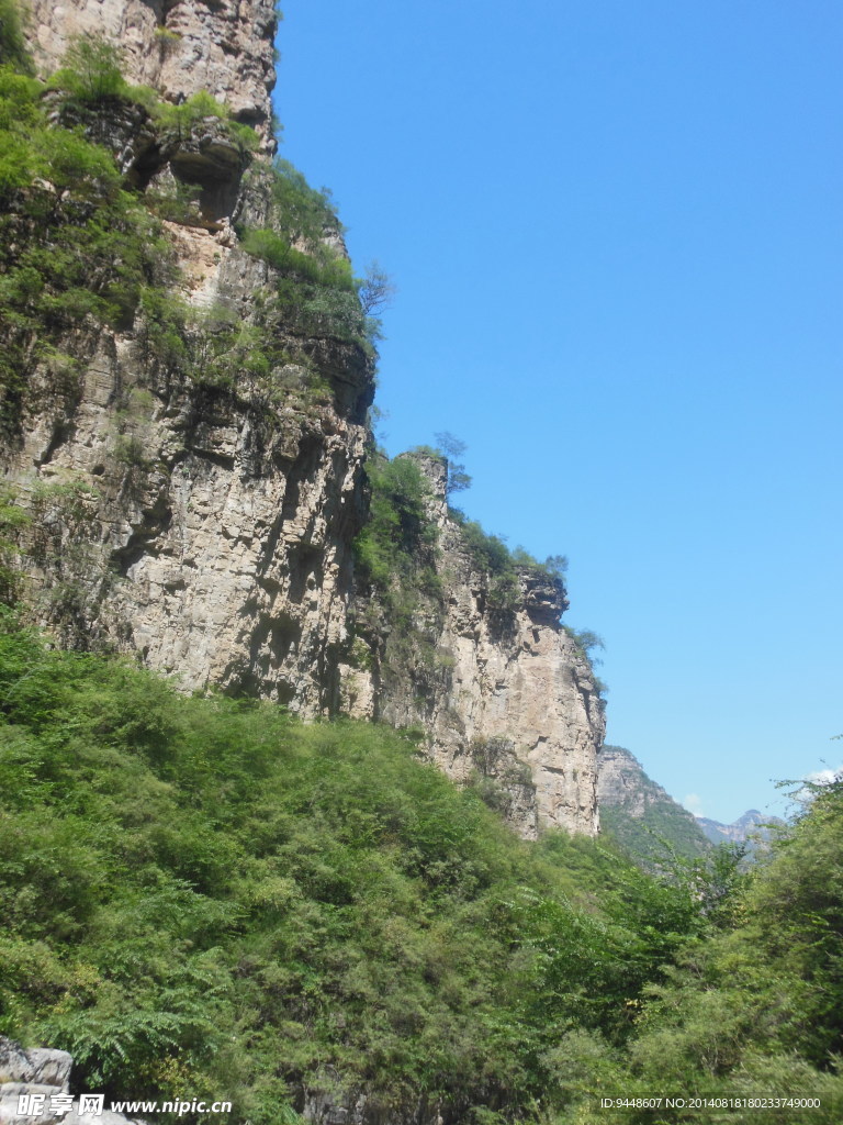 青山