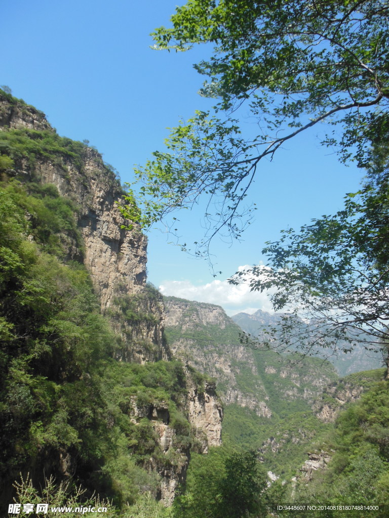 青山