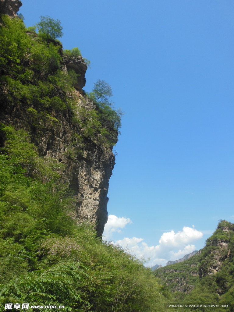 青山