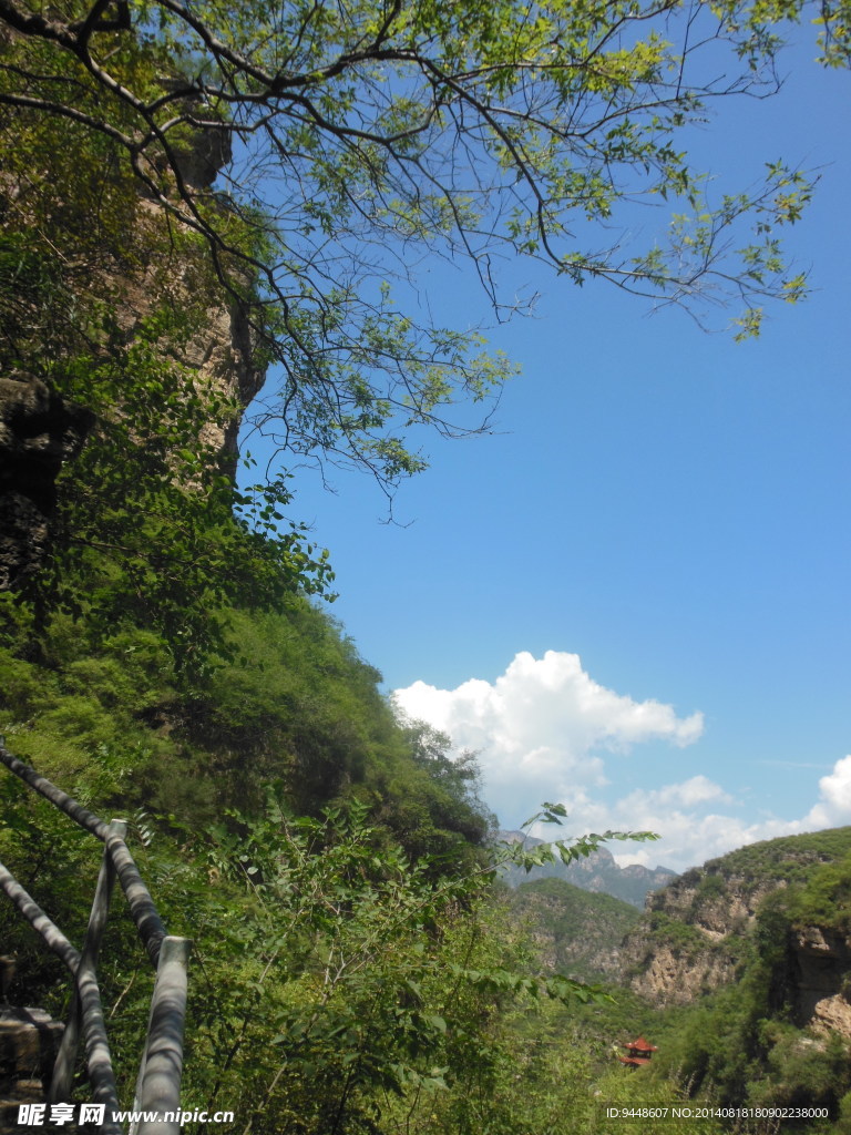 青山