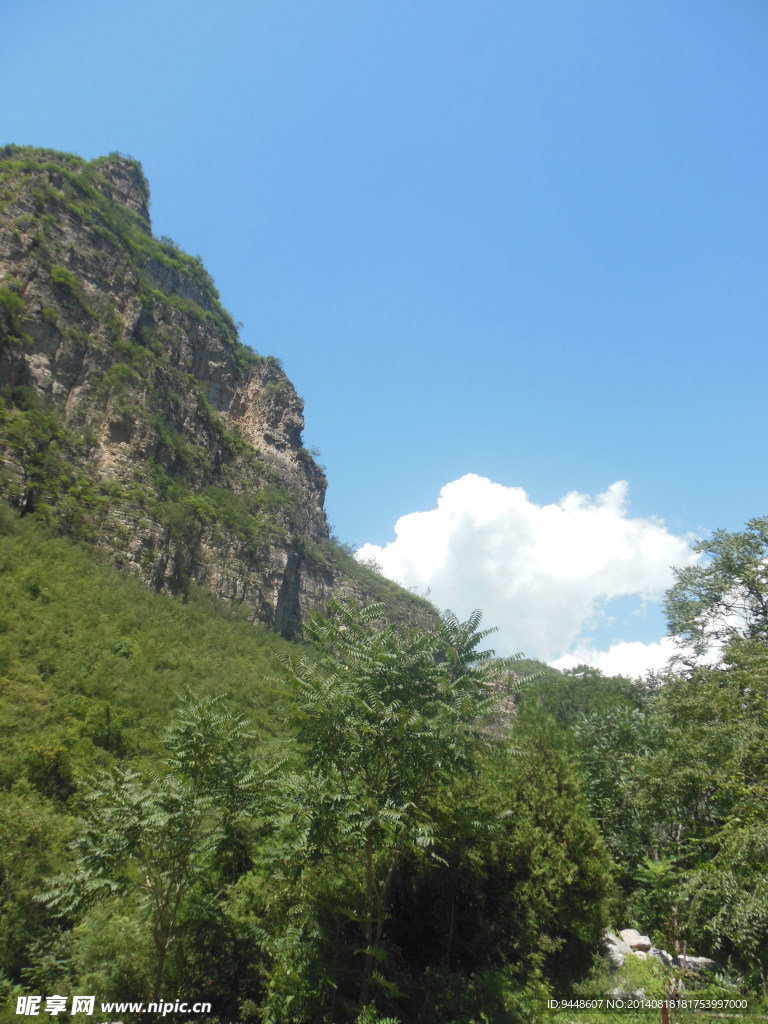 青山风景