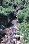 流淌的河水