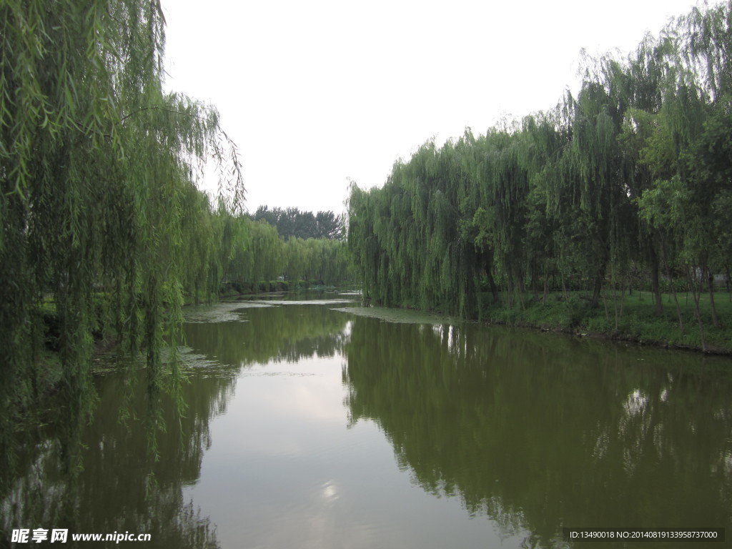 白洋淀的风景