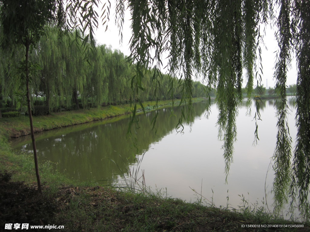 白洋淀风景