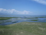 青海湖