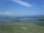 青海湖
