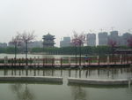 大唐芙蓉园