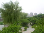 大唐芙蓉园