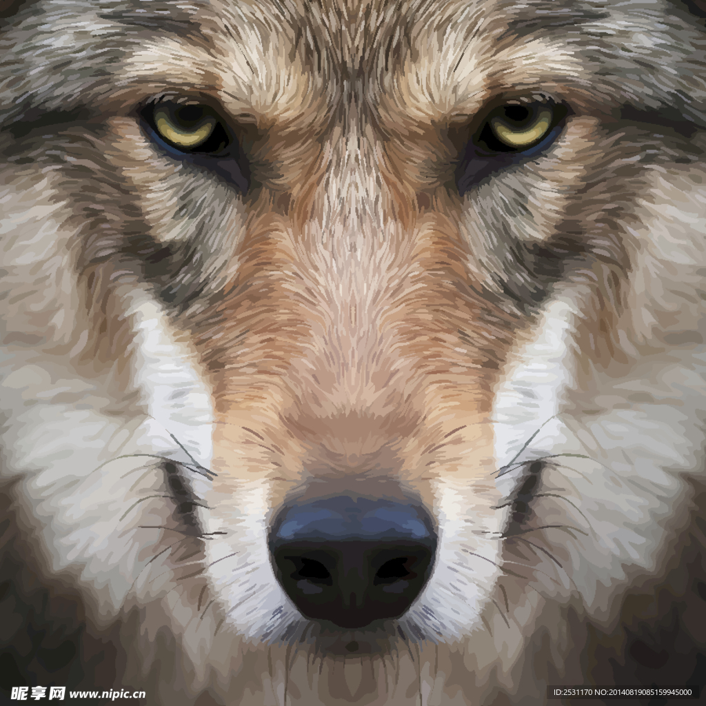野狼