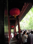 庭院