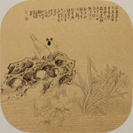 黄旸白苗小品