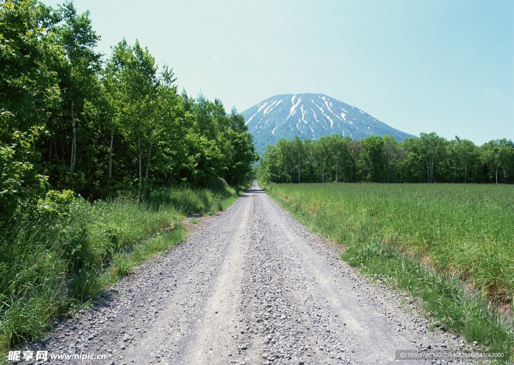 乡间小路风景