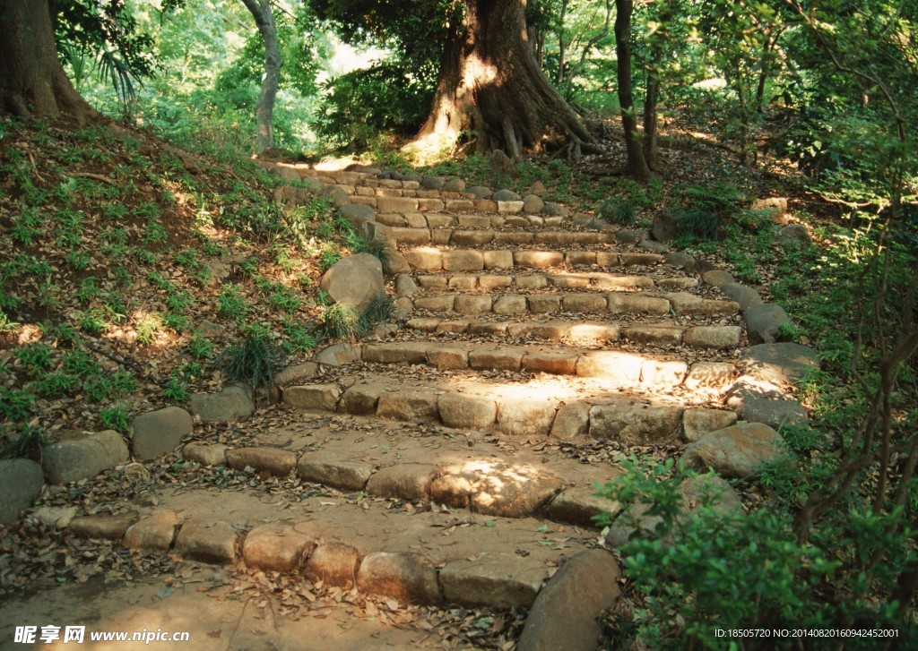 乡间小路风景