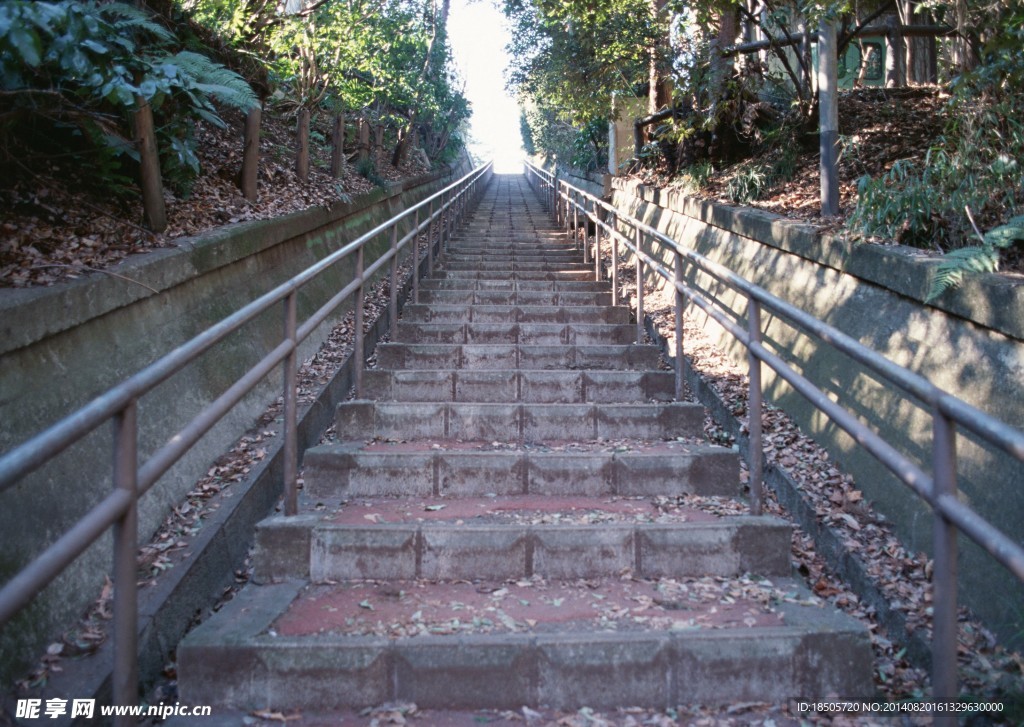 乡间小路风景