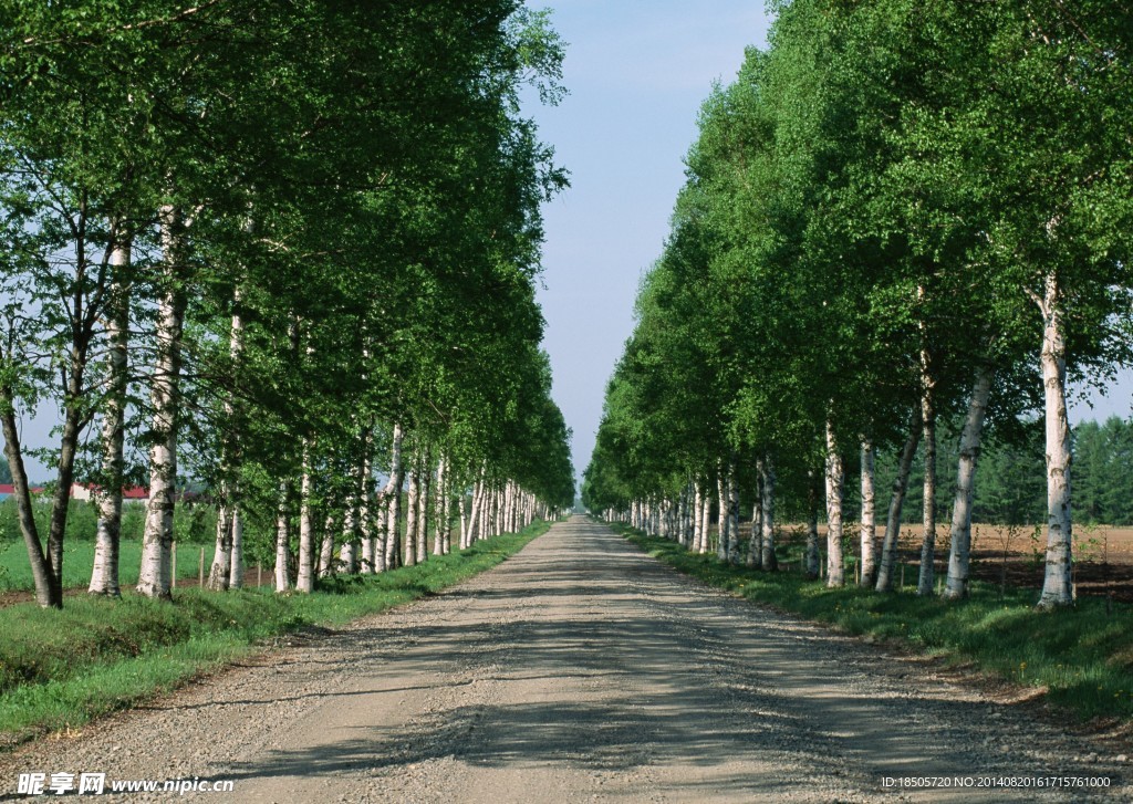 乡间小路风景