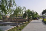 公园