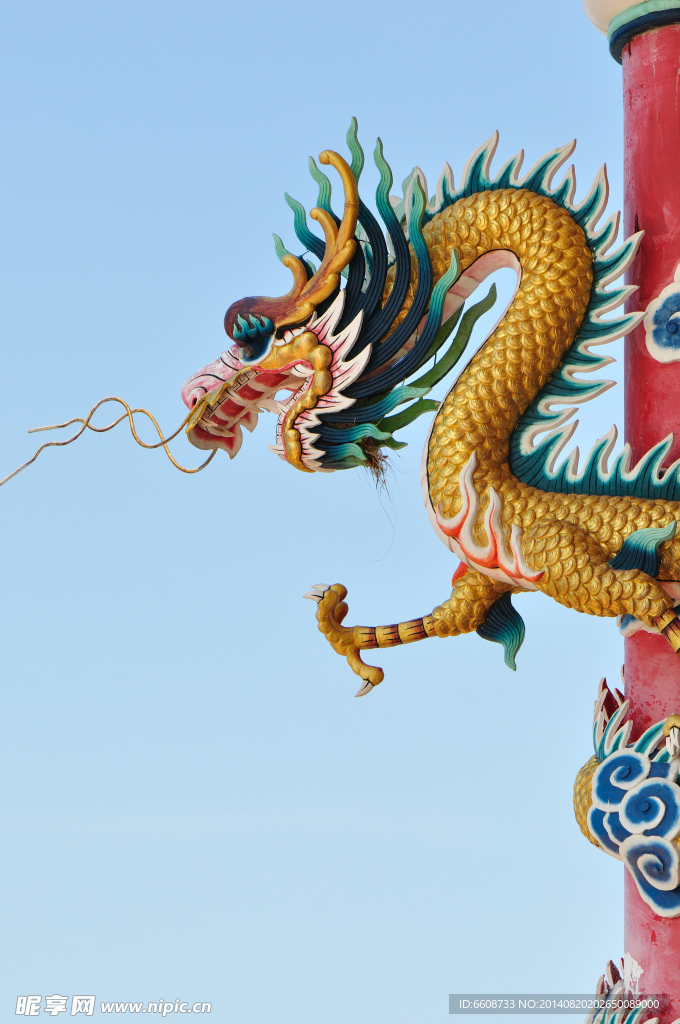 中国龙