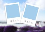 婚纱模板