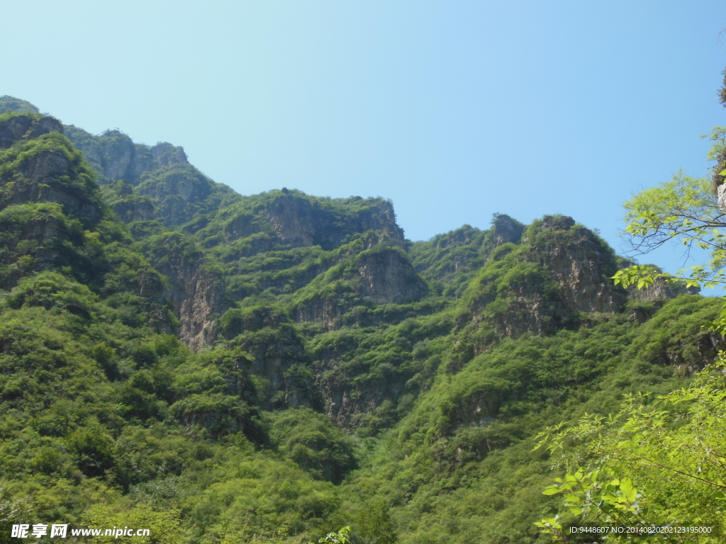 青山