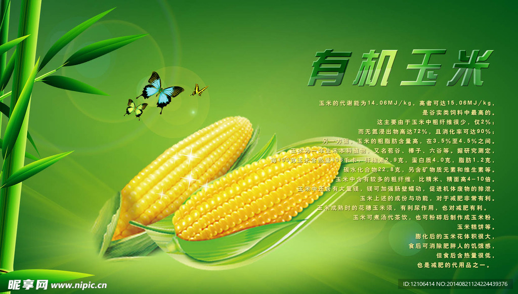 玉米海报
