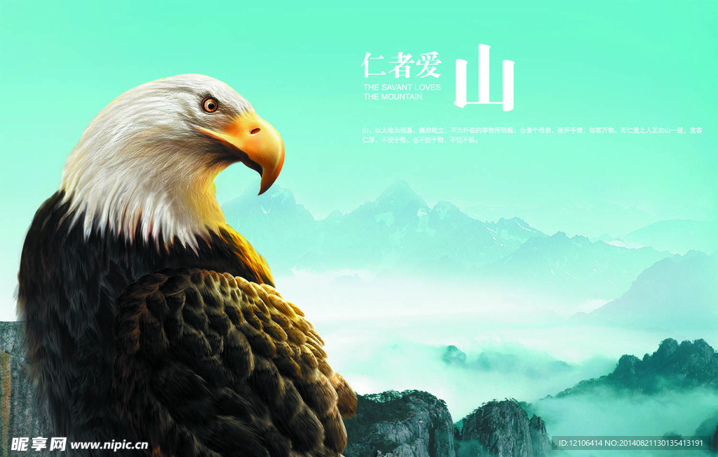 鹰雁团队