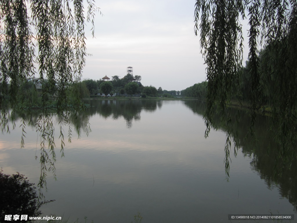 白洋淀傍晚风景