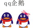 企鹅