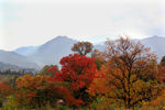 黄山