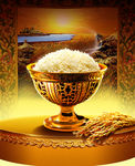 金色背景 米饭