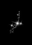 星光