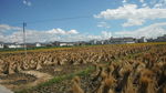 大理田园