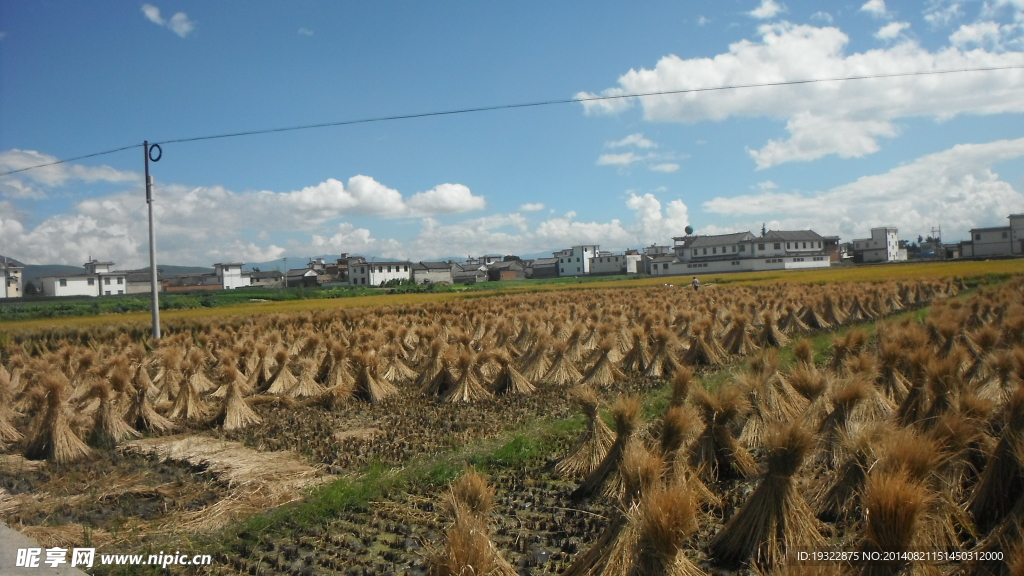大理田园
