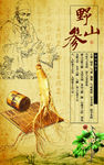 山参海报设计