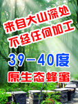 大山深处蜂蜜