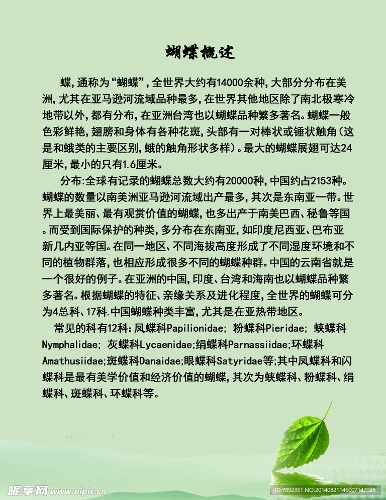 中国珍稀动物--蝴蝶总