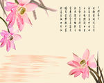 对莲 映日荷花