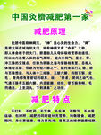 灸脐减肥宣传单