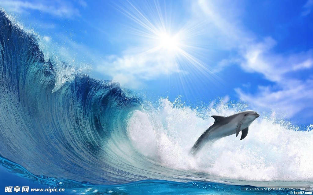 海豚