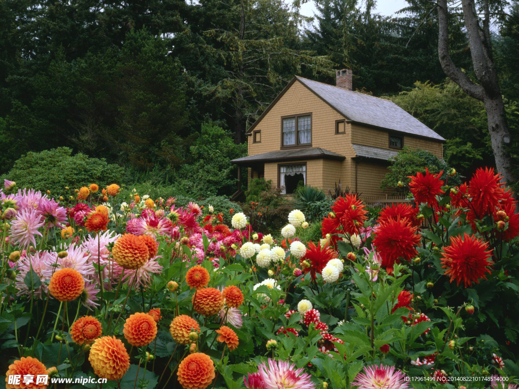 小屋花园