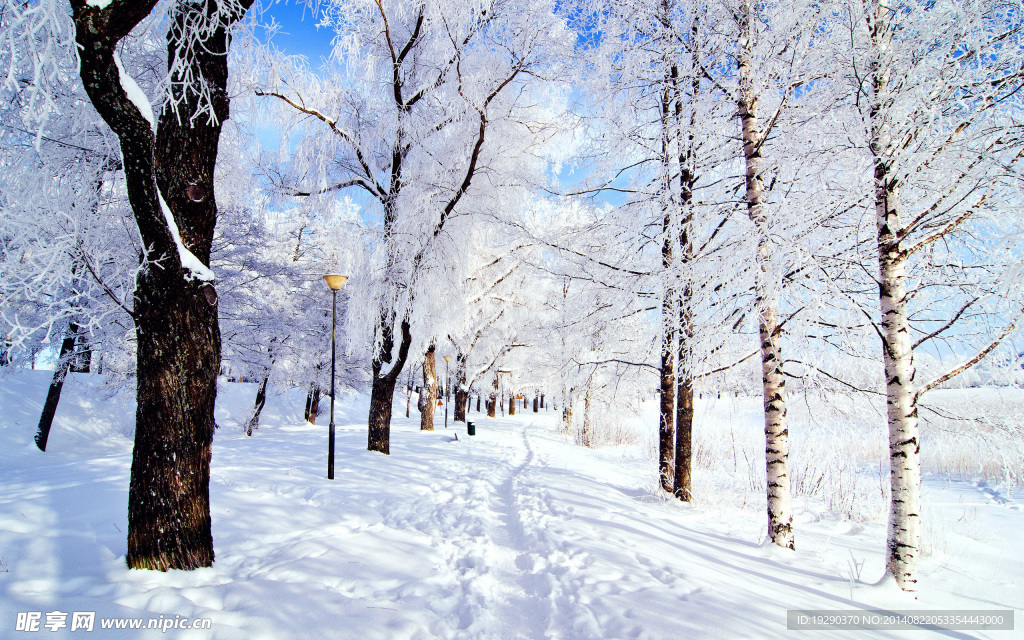 最美雪景