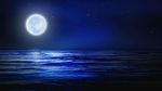 夜空下的海滩