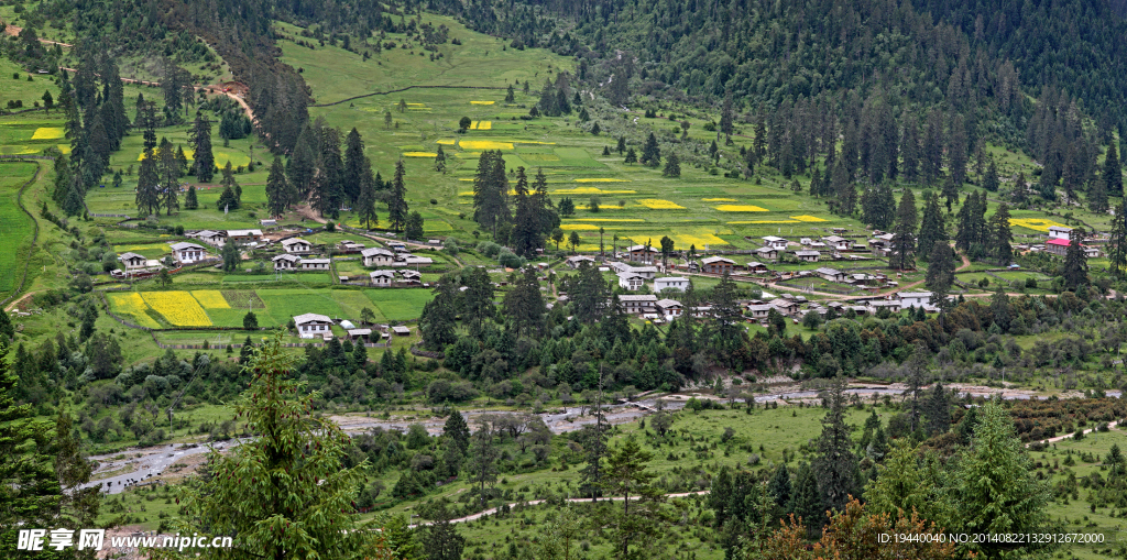 鲁朗田园