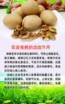 核桃的介绍