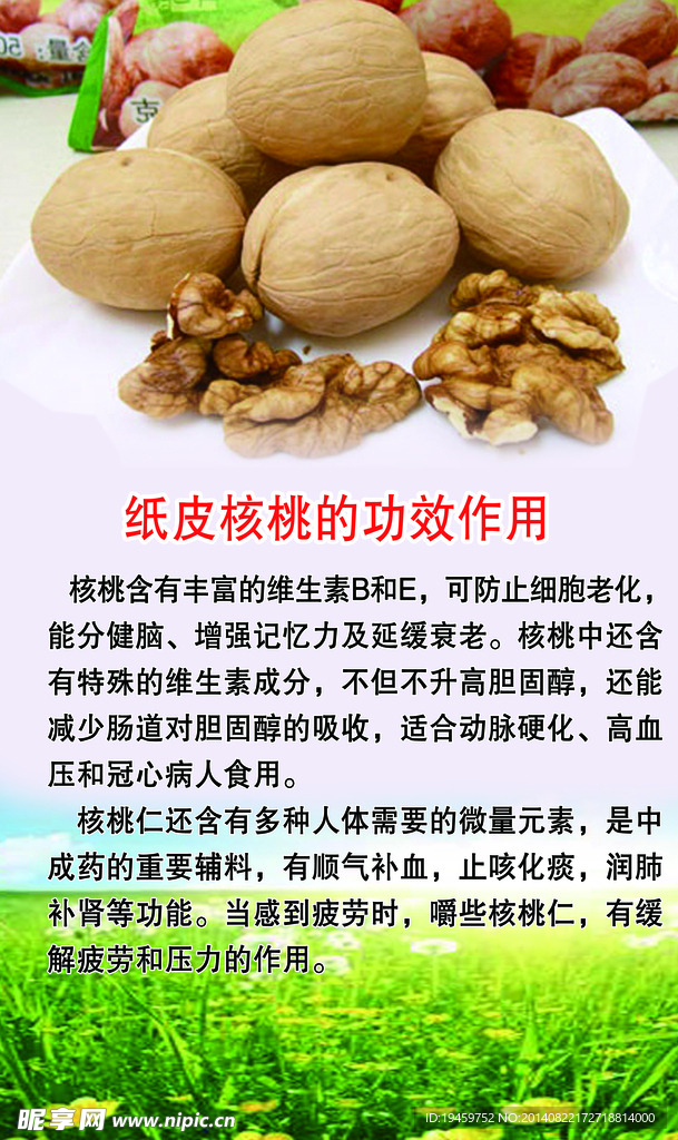 核桃的介绍