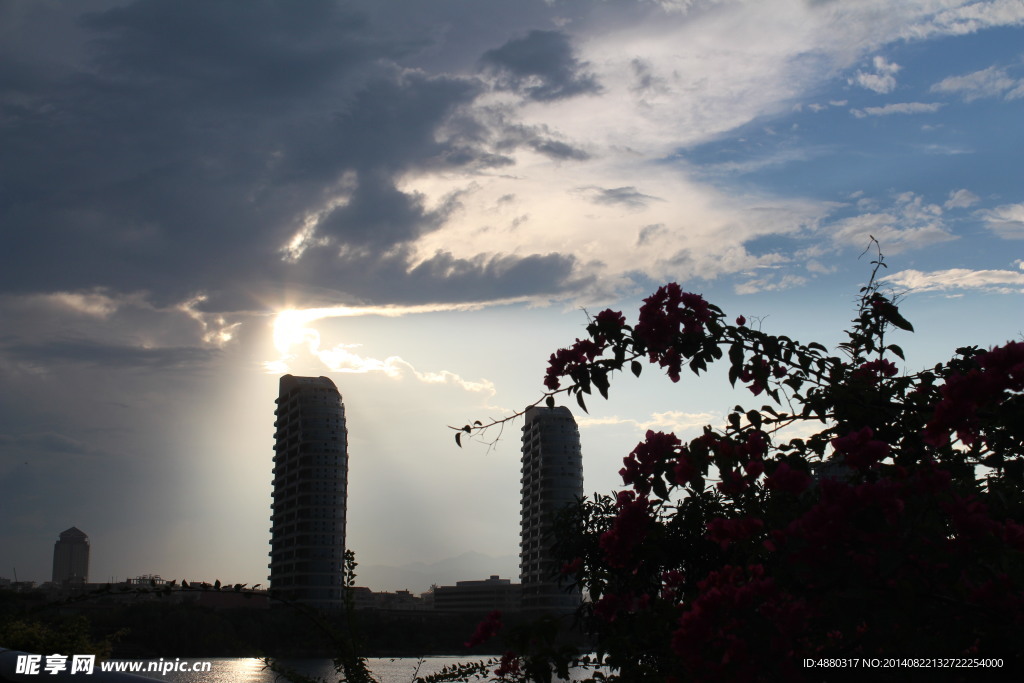 太阳  天空  花