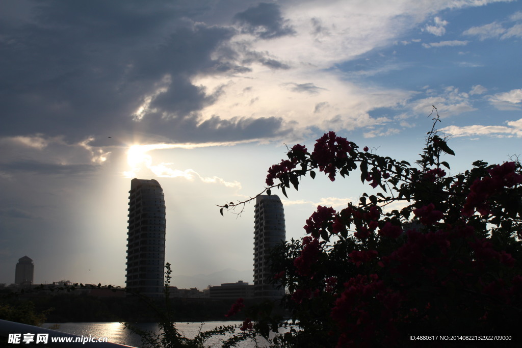 太阳  天空  花