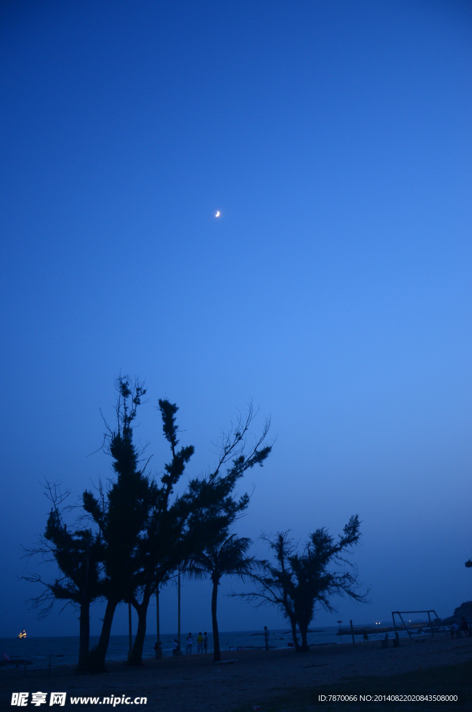 夜景